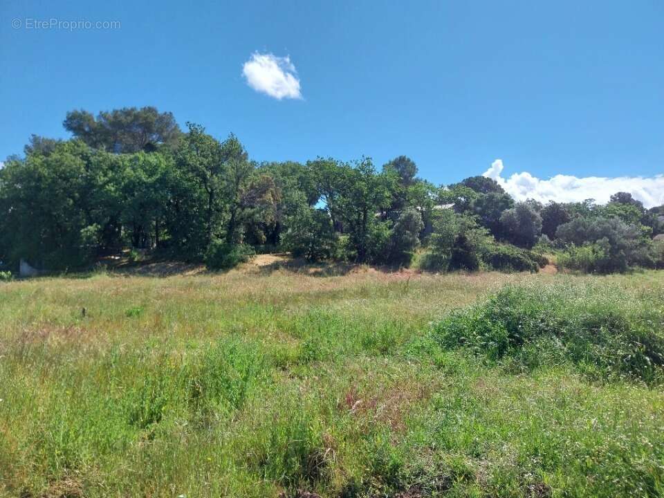 Terrain 344 m² à Frejus  - photo 3
