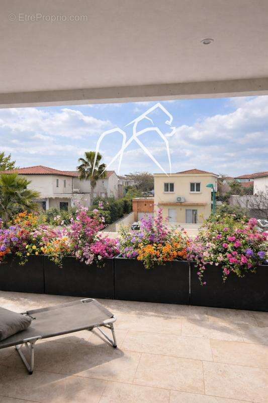 Maison à VILLENEUVE-LES-MAGUELONE