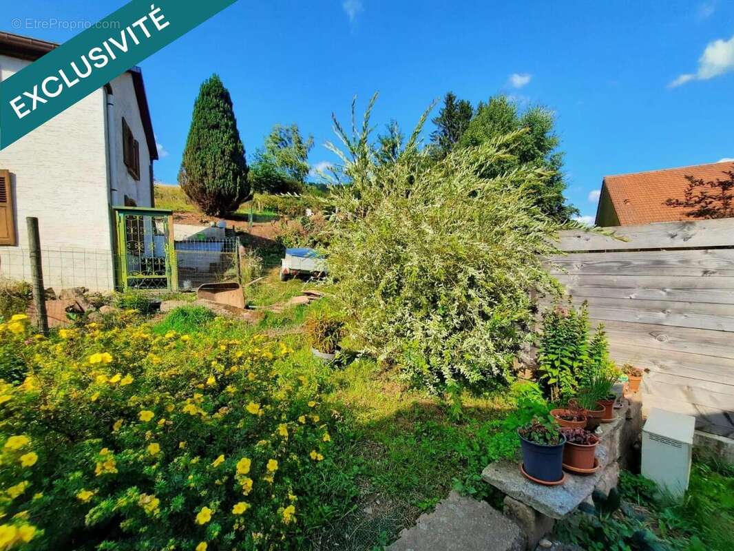 Photo 5 - Maison à PLAINE