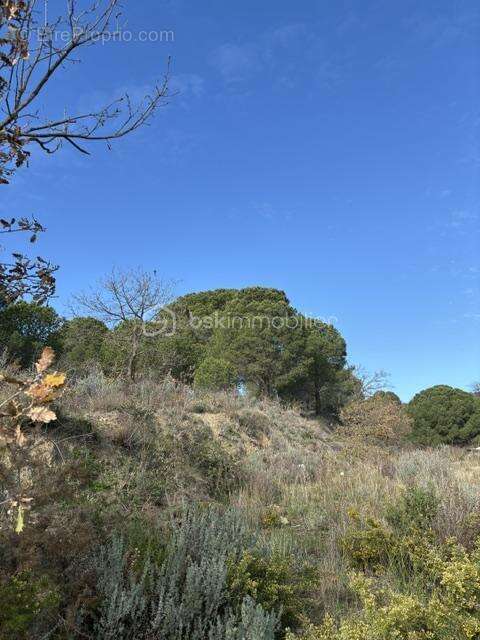 Terrain agricole 6140 m2 - photo 3