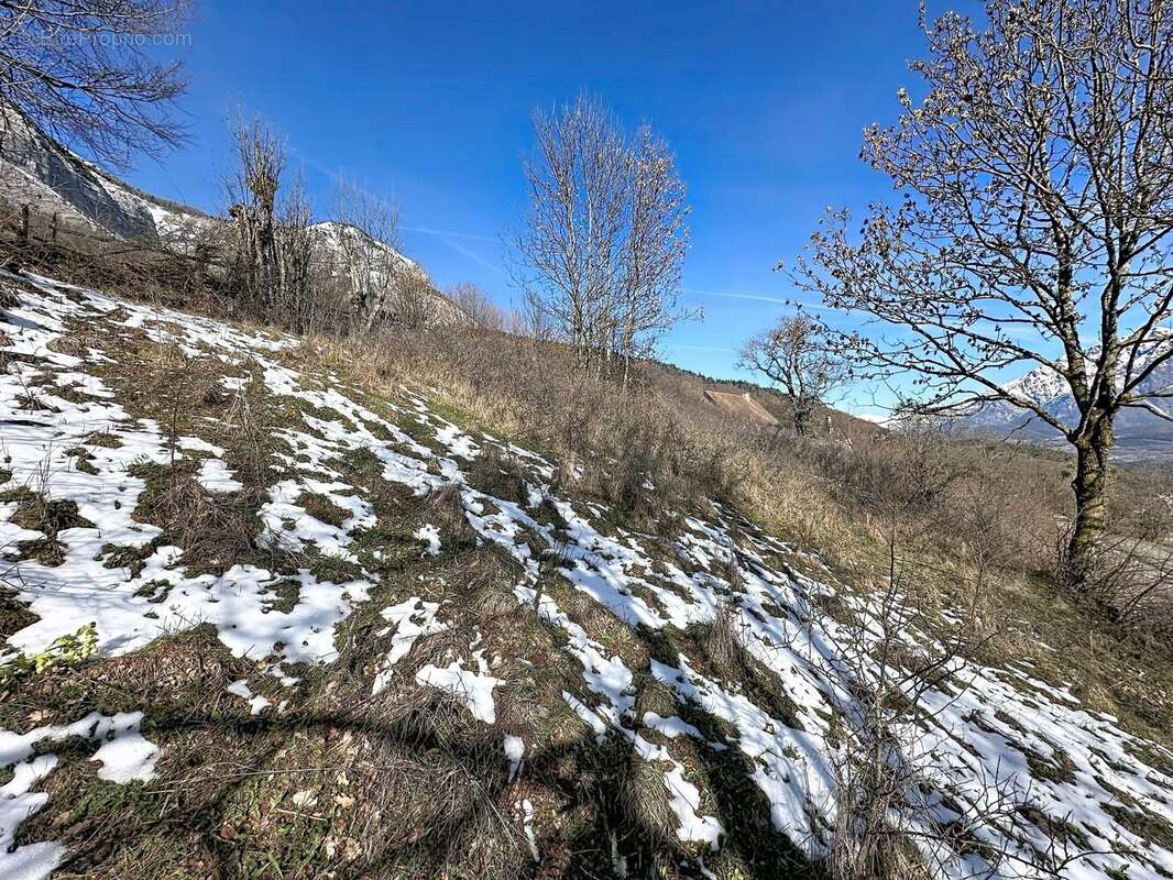 Terrain 3968 m² à La Fare-En-Champsaur  - photo 6