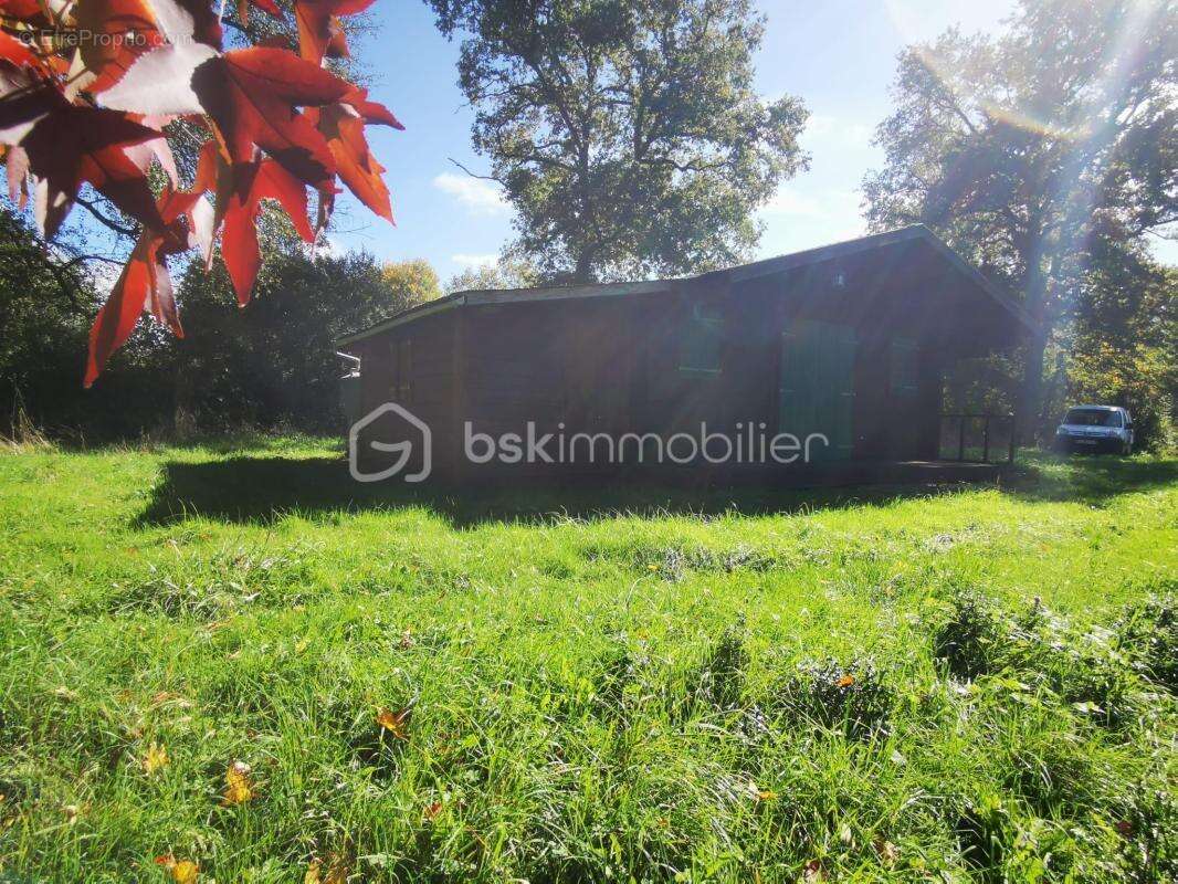 Terrain à SAINT-SAUVEUR-EN-PUISAYE