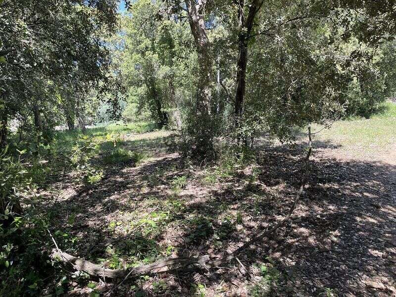 Terrain à LES CLUSES