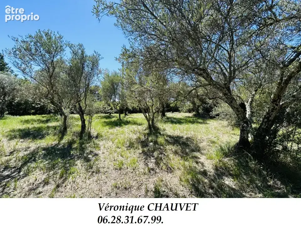 Terrain 725 m² à Lorgues  - photo 4