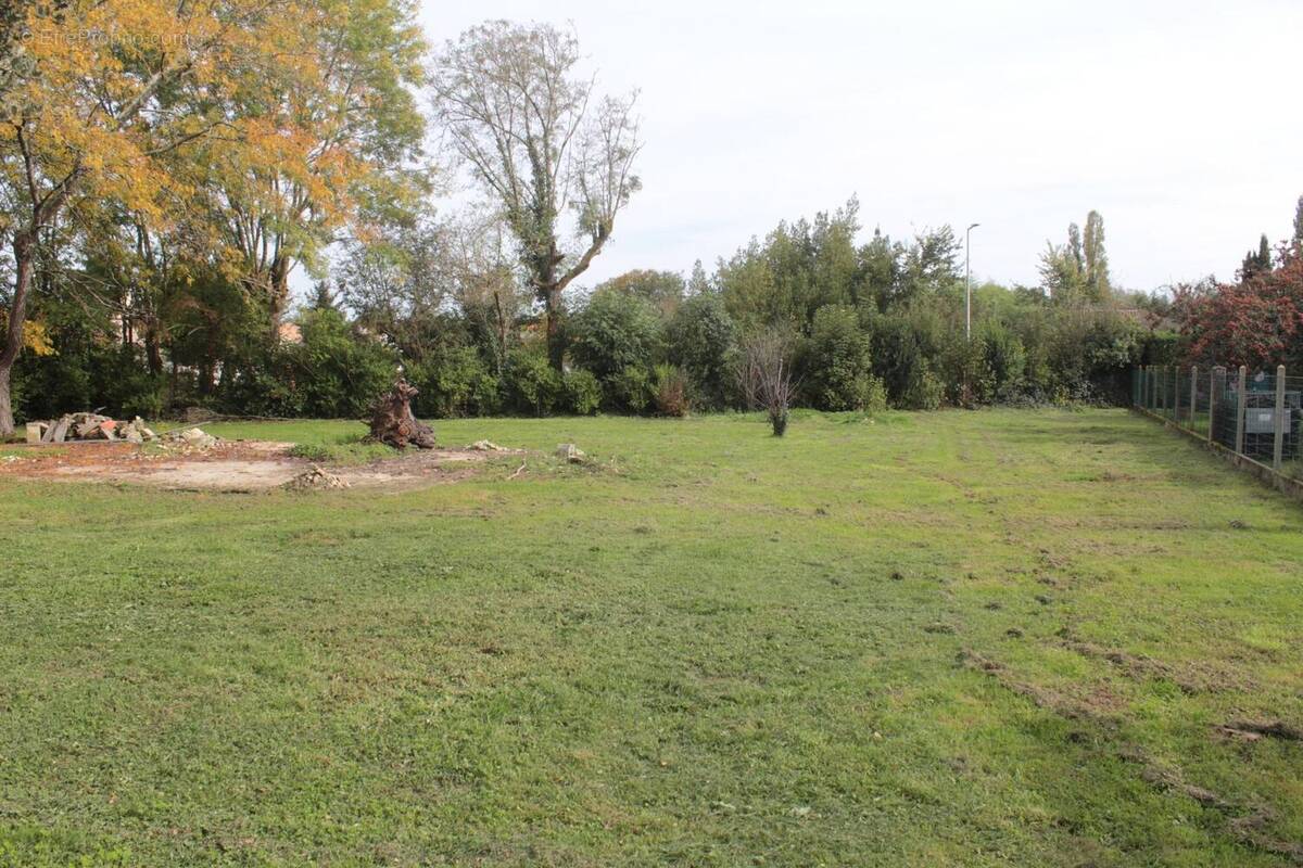 Photo 1 - Terrain à SAINT-GENIS-DE-SAINTONGE