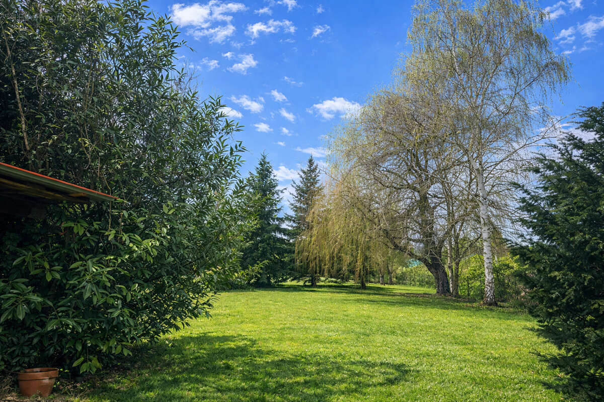 Maison à BOUXWILLER