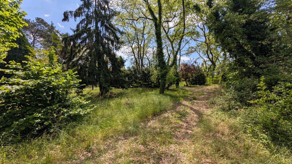 Terrain à MONT-DE-MARSAN