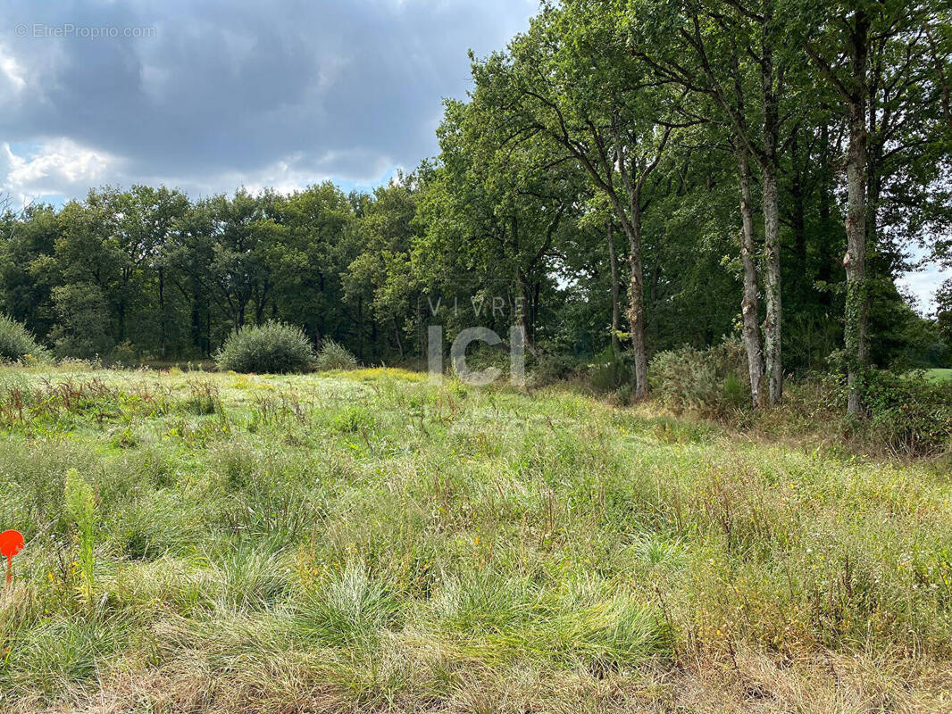 Terrain à PONT-SAINT-MARTIN