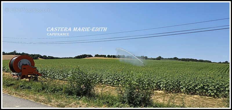 Dpt Gers (32), à vendre proche AUCH - propriété agricole - 145 Hectares avec LAC et 860 M² de bâtiments - photo 2