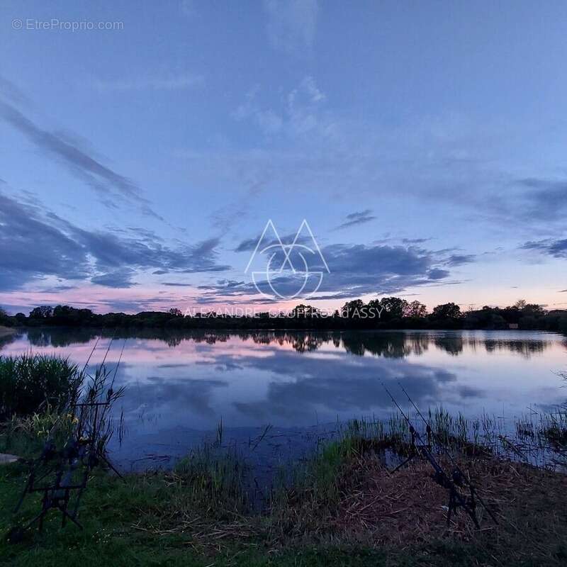 Opportunité d'affaires exceptionnelle : domaine de 24 hectares comprenant 15 hectares d'étangs, parfait pour divers projets tour - photo 13