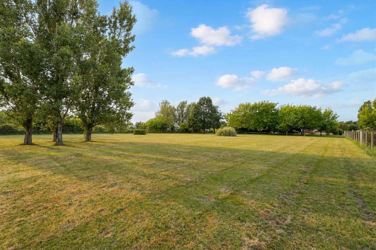 Maison plain-pied avec dépendances et parc arboré – Villemur/Villaudric - photo 4