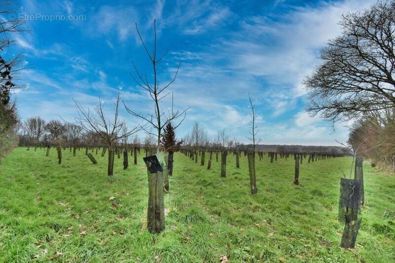 Maison à AUTHON-DU-PERCHE