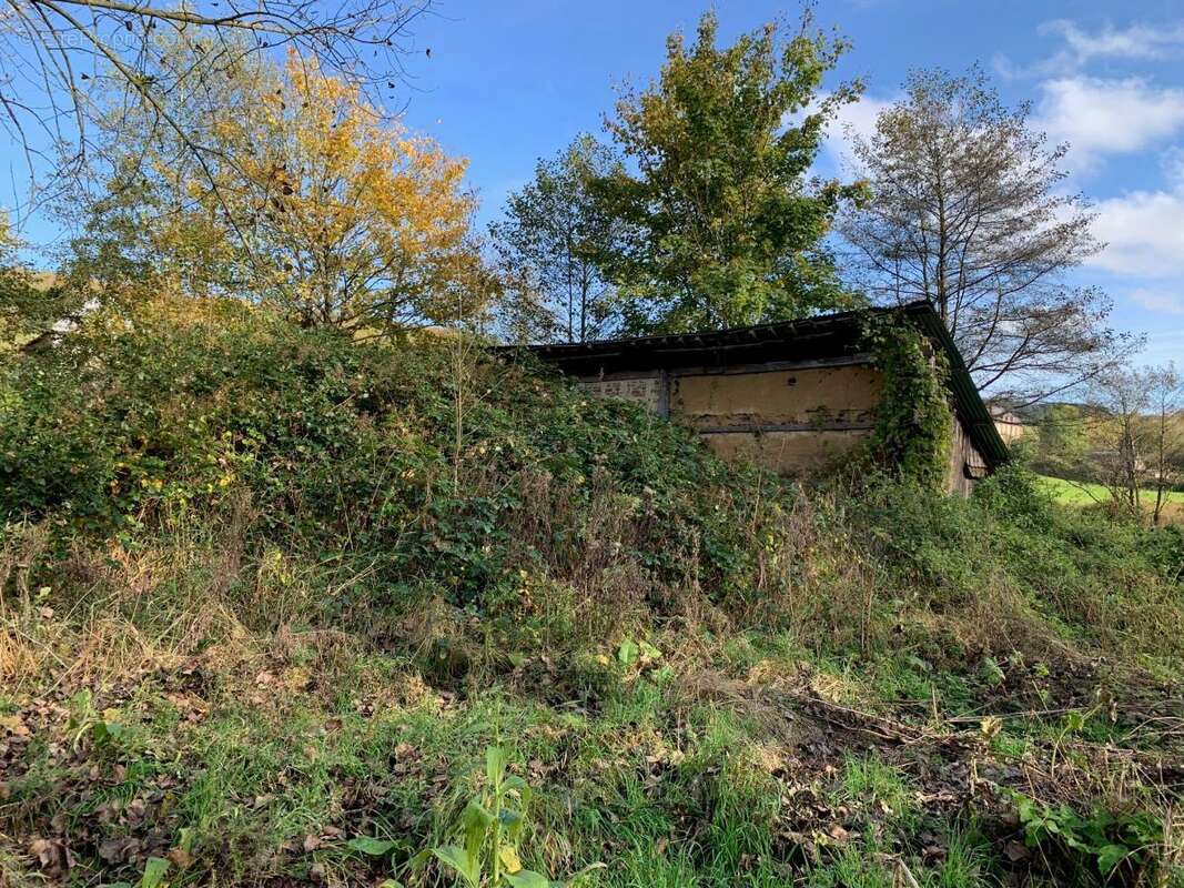 Terrain 88923 m² à Tordouet  - photo 6