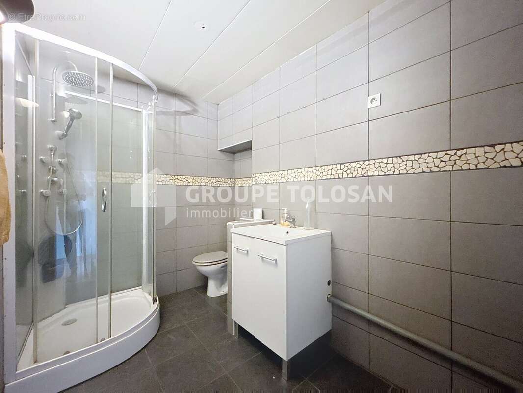 Maison 183 m² à Bessieres  - photo 9