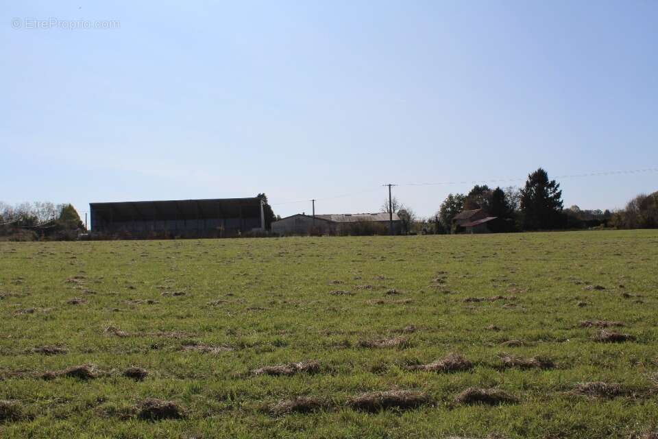 Terrain à MARSALES