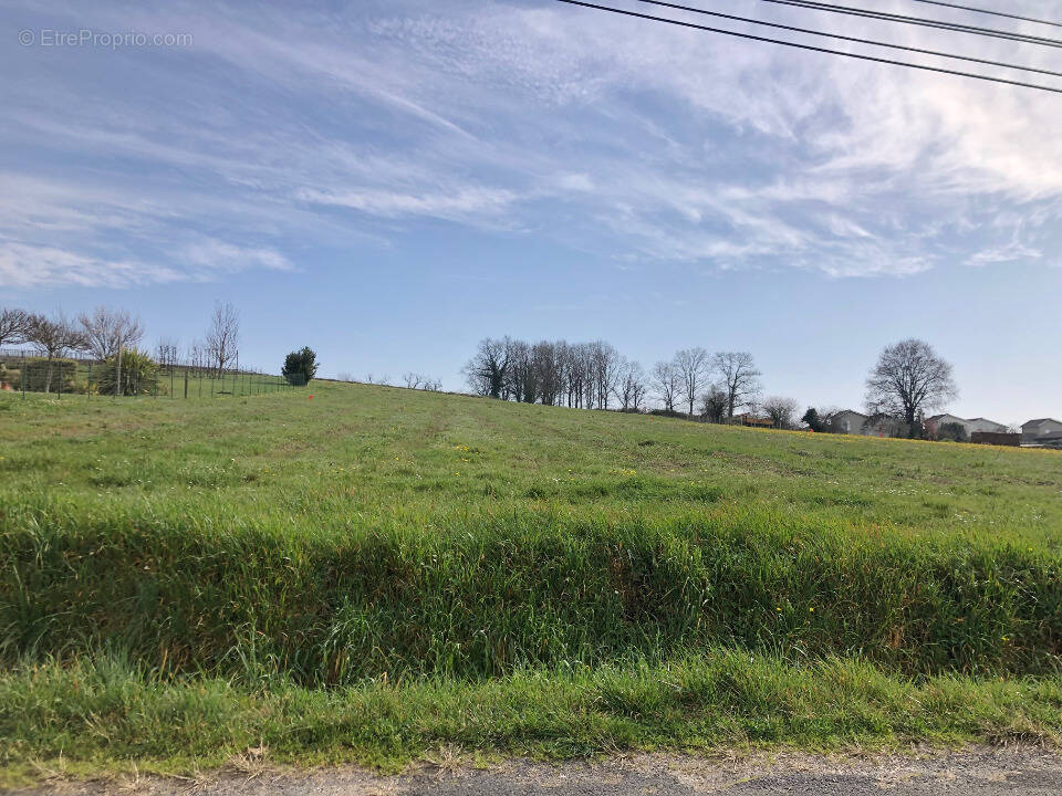 Terrain à SAINT-SAVIN