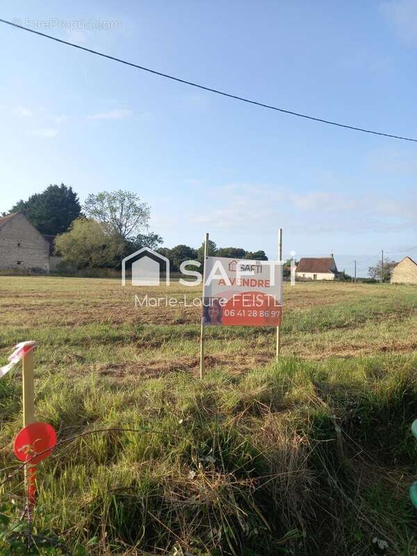 Photo 3 - Terrain à MOUZAY