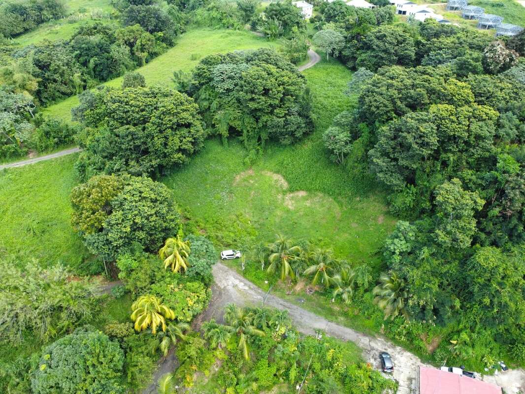 Terrain à RIVIERE-SALEE