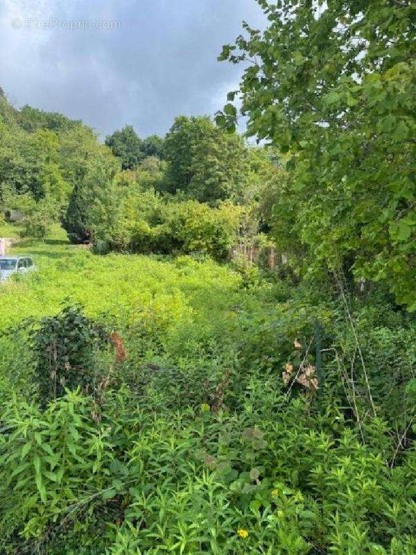 Terrain à VAILLY-SUR-AISNE