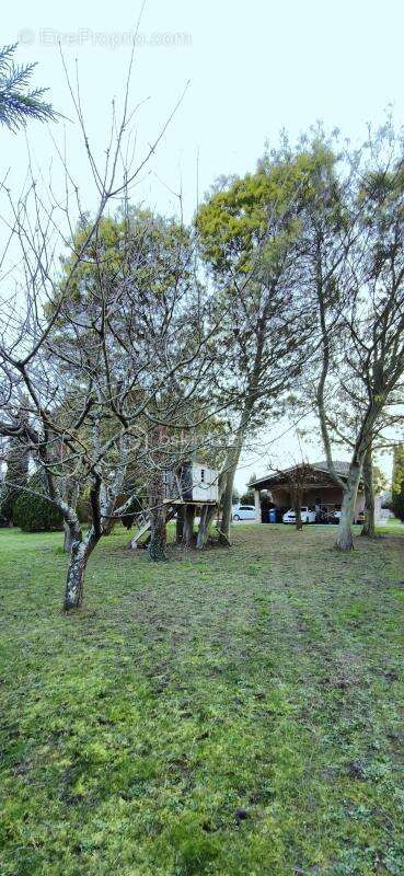 Maison à SAINT-ALBAN