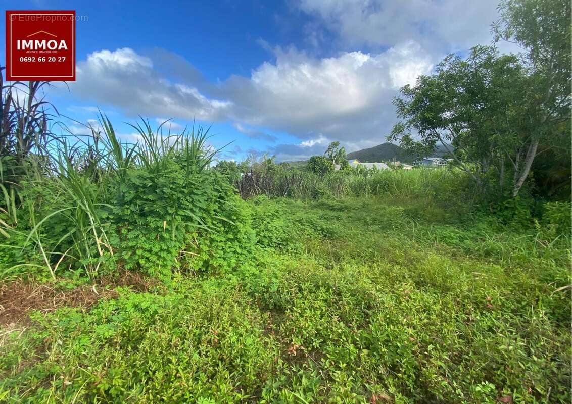 Exclusivité - Terrain à vendre 320 m2 constructible secteur sainte-anne ( cambourg) 97437 - photo 4