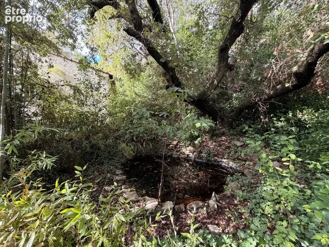 GAILHAN Maison à renover 4 pièces de 90 m2 sur une parcelle de 1000m2 arboré - photo 15