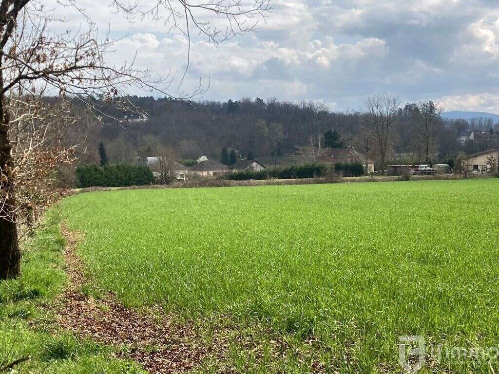 Cublac en Corrèze - Terrain à bâtir - A Basse Rivière - photo 2