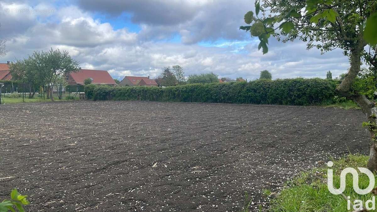 Photo 8 - Terrain à LOOBERGHE