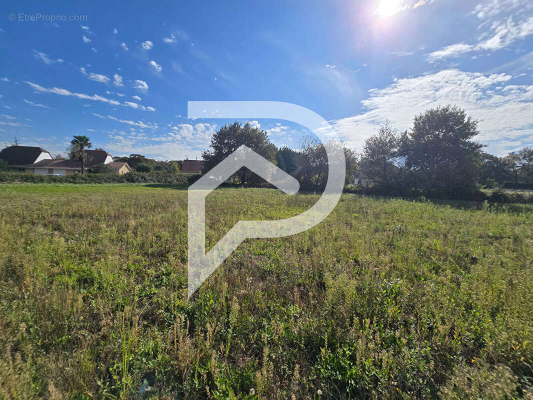 Terrain à HAGETAUBIN