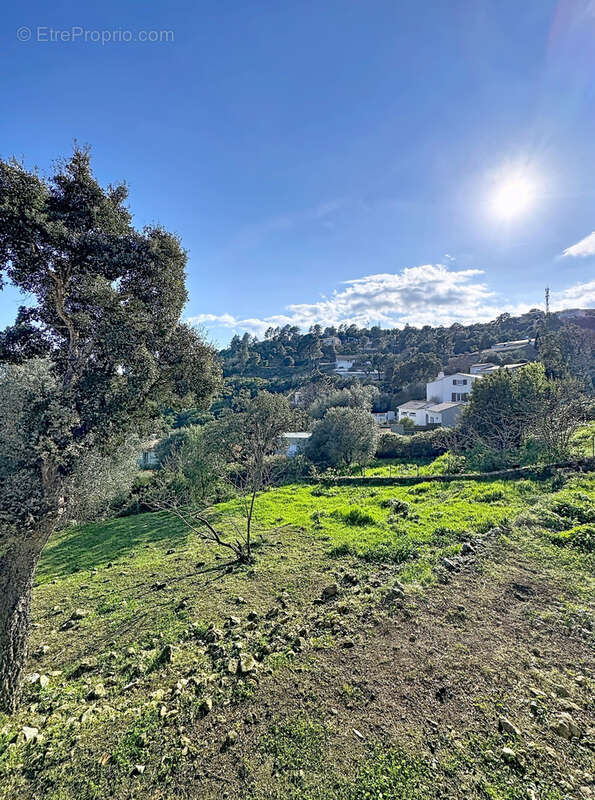 Maison à SARI-SOLENZARA