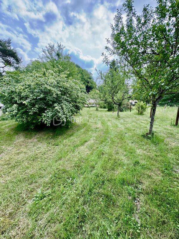 Au cœur de Porcelette  Maison de Village Atypique 260 m², 13 pièces, 7 Chambres, Garage, Terrain de 14 ares - photo 14