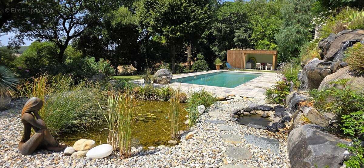 Villa à Montélimar - Piscine, sous-sol intégral, jardin paysagé - photo 3