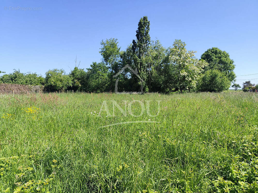 Maison 3 pieces 50m2 à rénover avec grand terrain au calme - photo 11