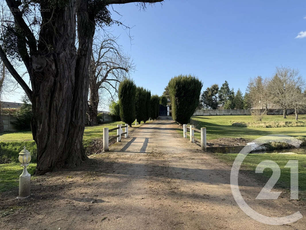 Maison à VILLENEUVE-SUR-ALLIER