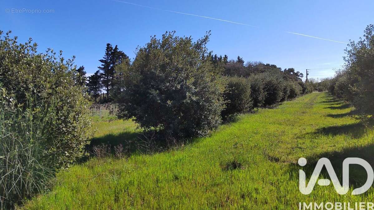 Terrain 4400 m² à Travaillan  - photo 7