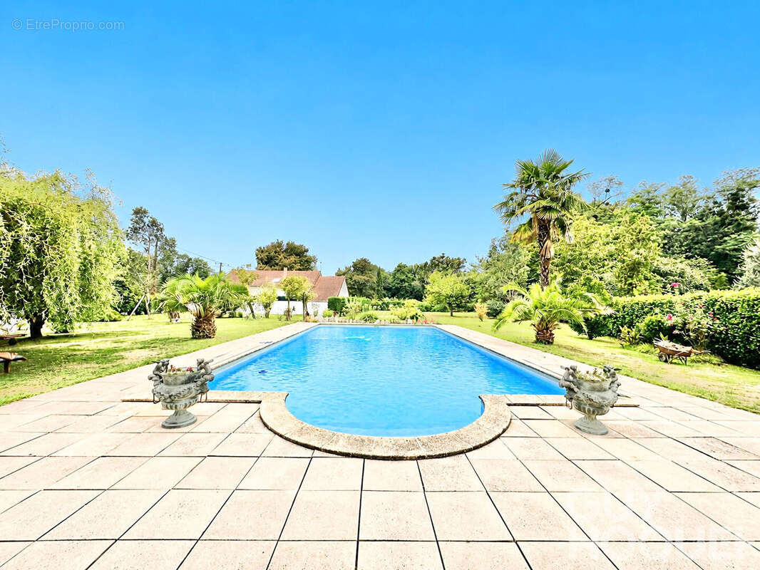 Maison béarnaise proche d'ORTHEZ avec dépendance et piscine - photo 16
