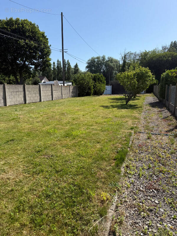 Terrain à COULOGNE