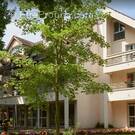 Appartement à MONTFORT-L'AMAURY