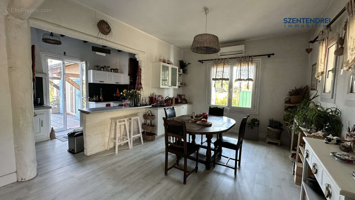 Szentendrei Immobilier - maison + dépendance - LUNEL - Grand terrain  - Maison à LUNEL