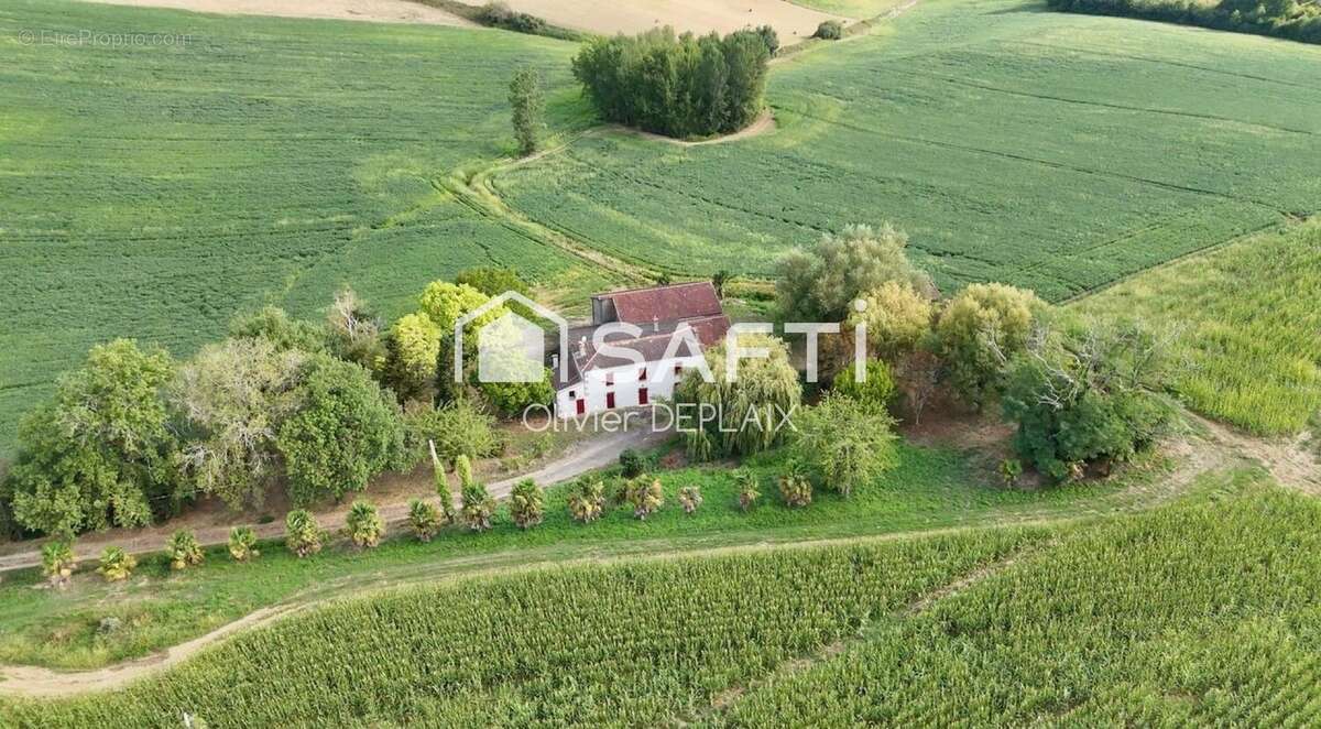 Photo 7 - Maison à MONTAGNAC-SUR-AUVIGNON