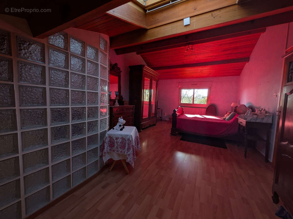 Maison à VILLENEUVE-TOLOSANE