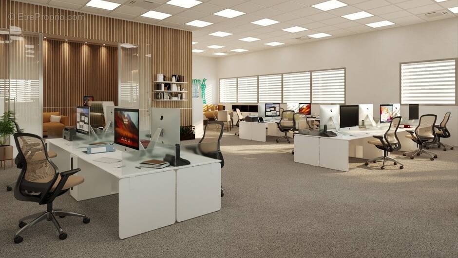 Commerce à SARROLA-CARCOPINO