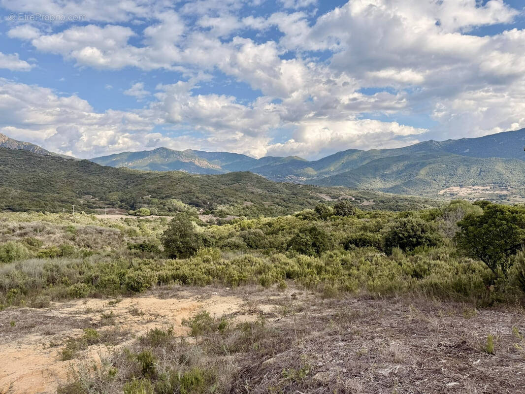 Terrain à CASAGLIONE