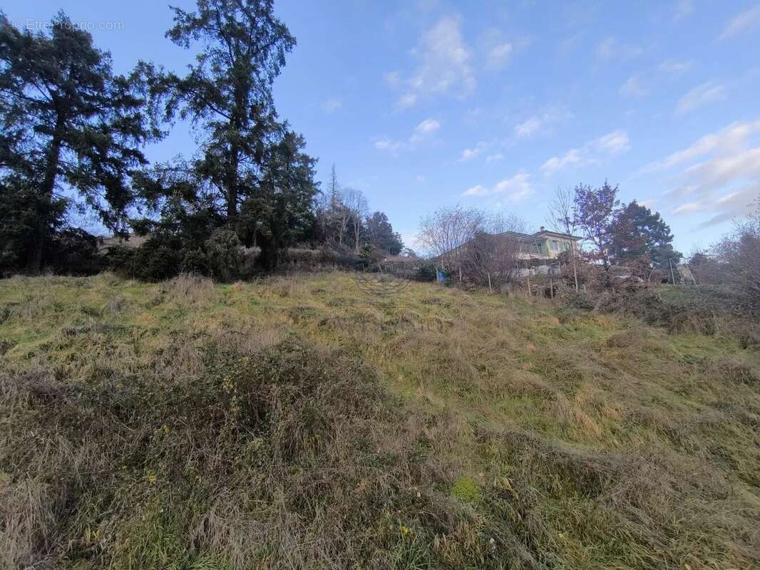 Terrain à BEAUJEU