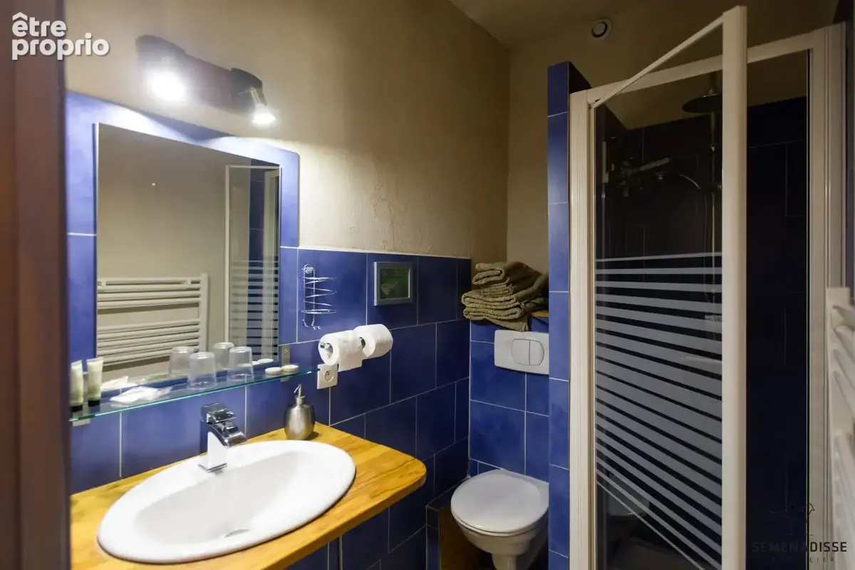 Maison 9 pièces 506 m² à vendre à Salvagnac (81630) - photo 8