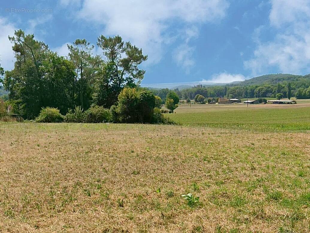 Terrain à PRATS-DE-CARLUX