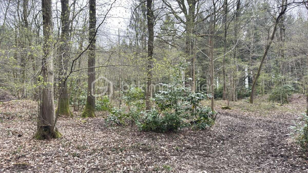 Terrain à LA FERTE-SOUS-JOUARRE