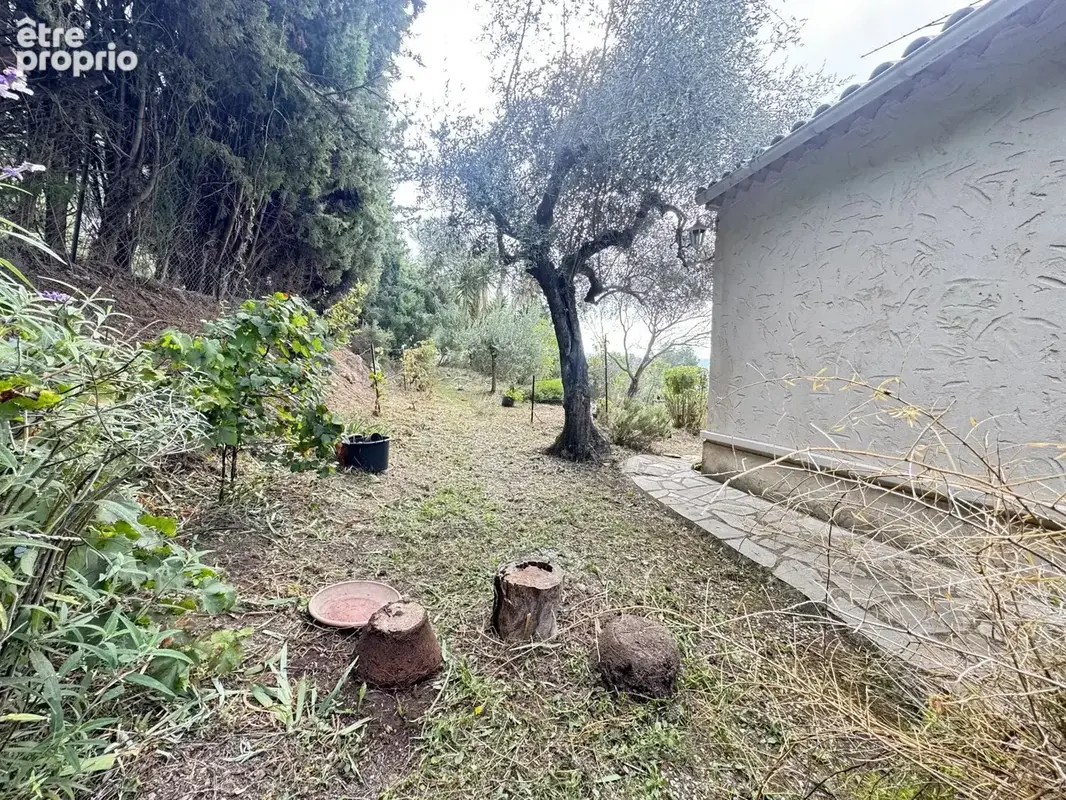 Blausasc : exclusivité ! - photo 27
