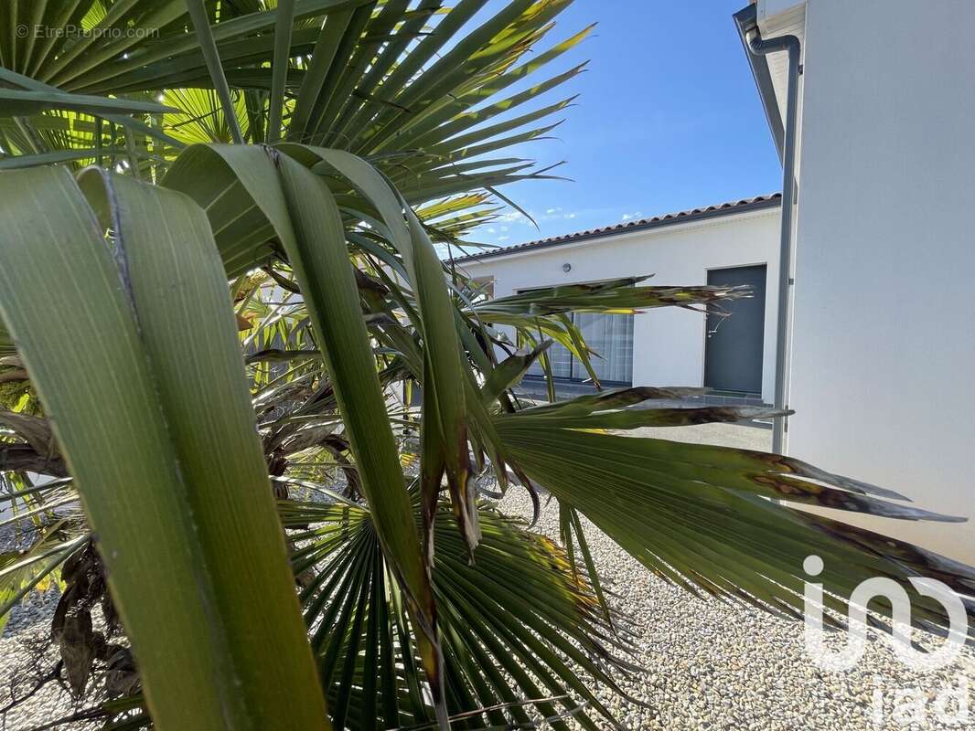 Photo 2 - Maison à VAUX-SUR-MER