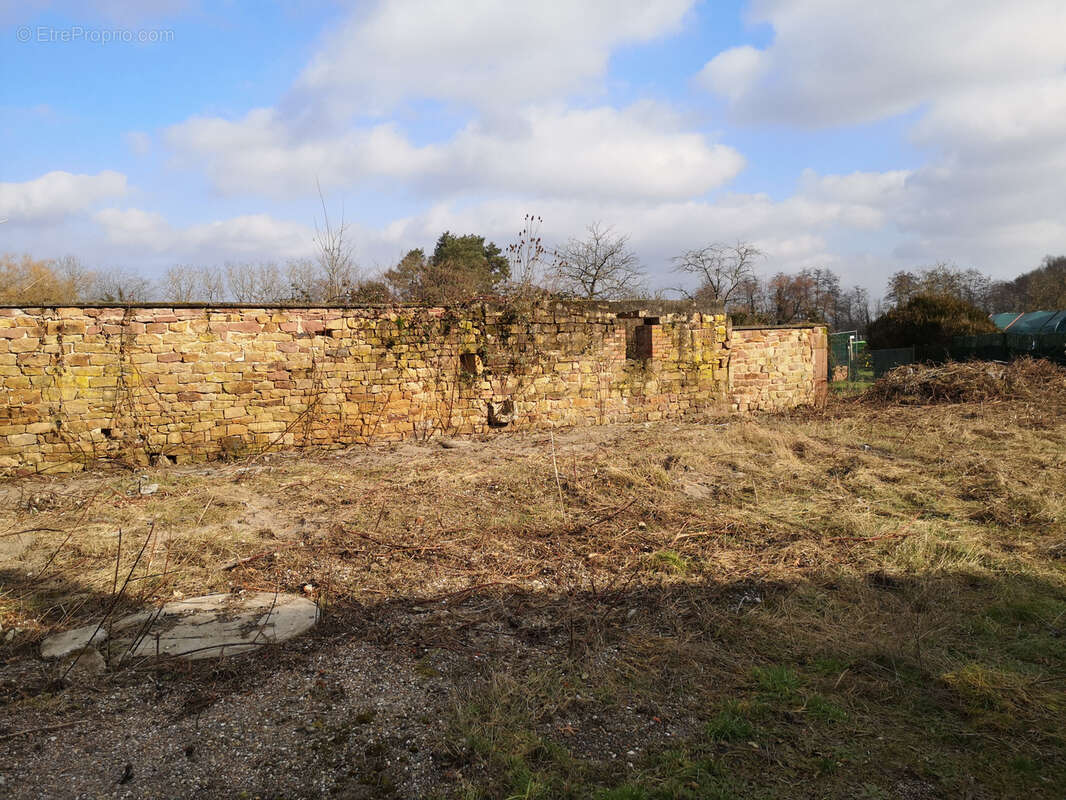 Maison à BIBLISHEIM